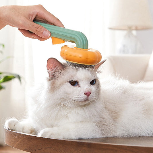 pumpkin cat brush