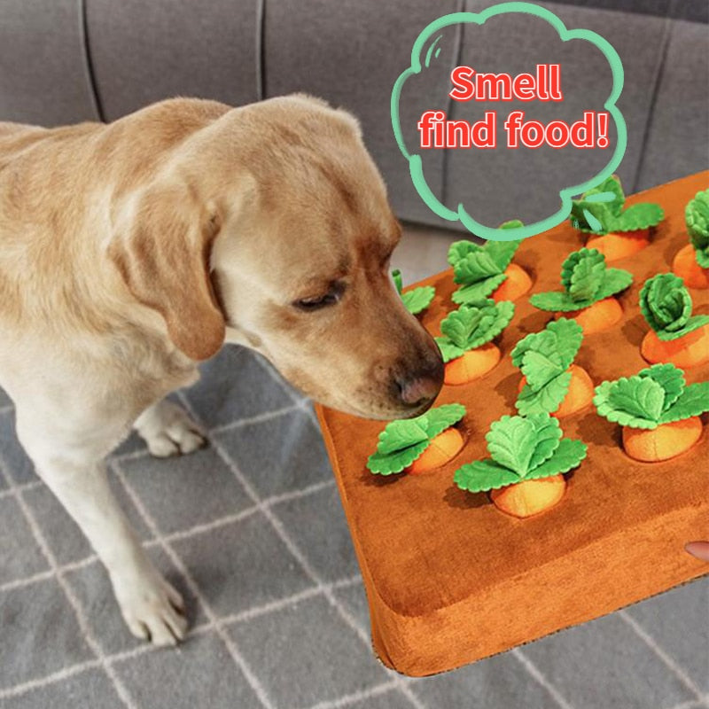 carrot toy for dogs